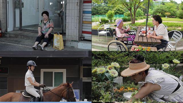‘다큐프라임’ 세포 역노화의 비결