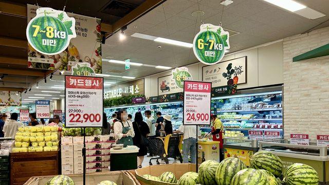 한포기 5천원 '금배추'…지갑 열기 겁나는 채소·과일 물가