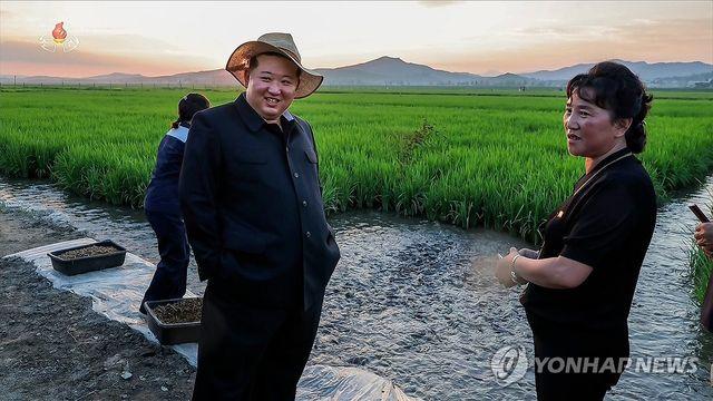 북, 폭염에 농사 망칠까 긴장…무더위 주의경보→중급경보 격상(종합)