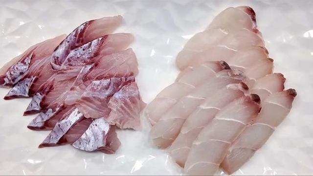 어떤 생선회가 한국서 가장 맛있을까... 전문가는 이 물고기 콕 찍었다