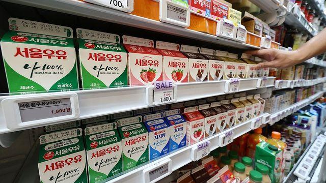 폭염에 젖소 지쳐 '우유 생산 줄고 양식장 광어 폐사'