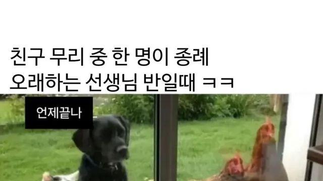 중고딩학교 시절이 생각나는 짤,,