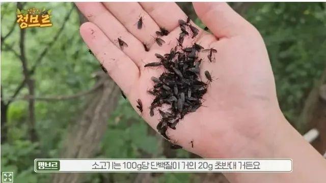 드디어 나온 헬창들의 게임체인저,,