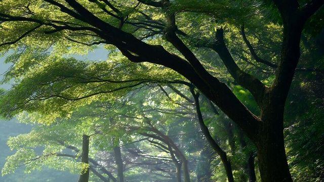 [화성에서 띄우는 편지 393]  맨발 산행