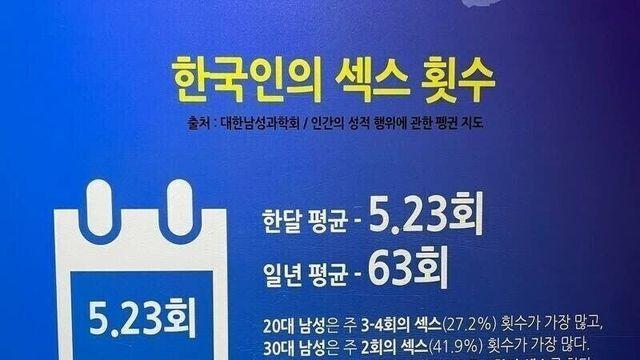 한국인의 평균 횟수