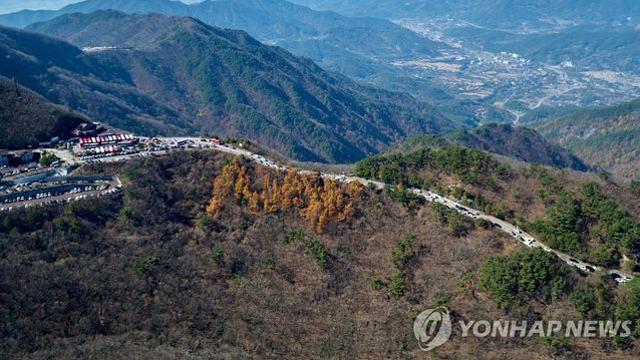지리산 노고단 일주도로 통행 재개