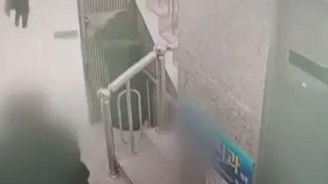 [화남주의] 어쩌냐 니 아빠 장애인되서,,