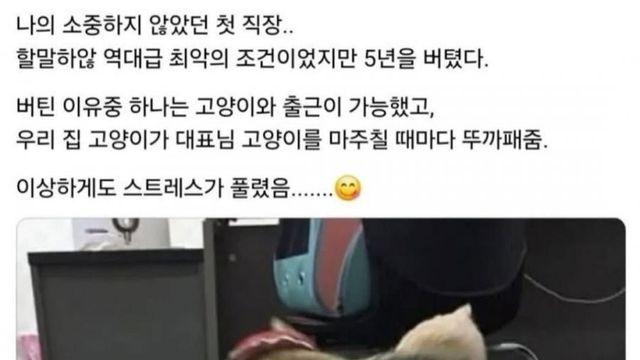 최악의 첫 직장에서 5년을 버틴 이유.jpg