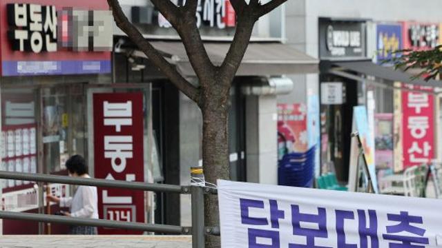 사업자금 대출로 '내 집 마련'?…'꼼수'가 위험한 까닭[똑똑한 부동산]