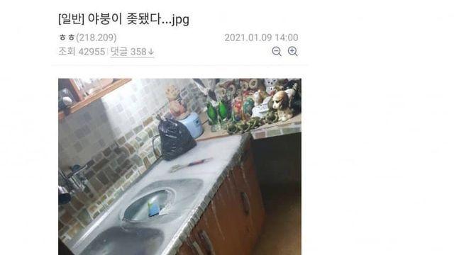 디시에서 가장 안타까운 유형.jpg