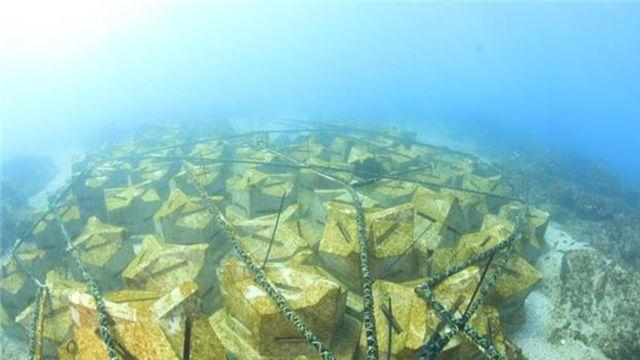 제주 5개 마을어장에 '해조 생육 블록' 2079기 설치