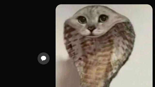 오랜만에 엄마랑 카톡한 디시인 