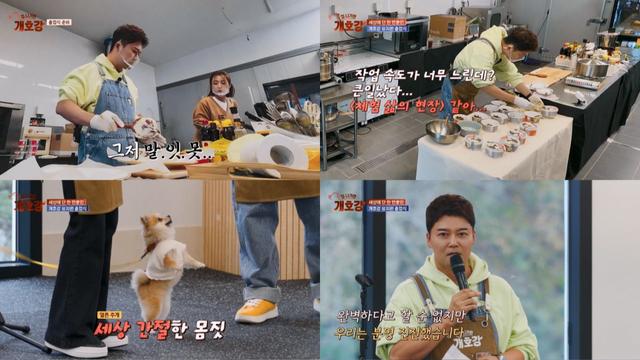 강소라, ‘개 유치원’ 졸업 영상에 폭풍 오열