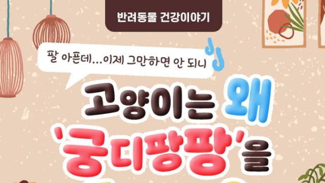 [반려동물 건강이야기] 고양이는 왜 ‘궁디팡팡’을 좋아할까?