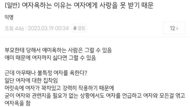 한 디시인의 여성혐오에 대한 의견 .jpg
