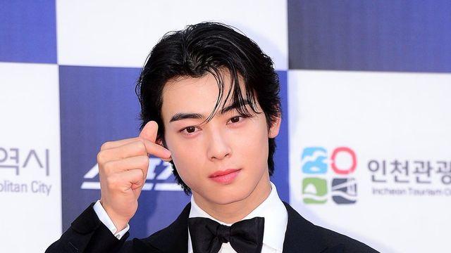 “잊지 말아줘”…차은우, 오늘(28일) 입대 [DA:투데이]