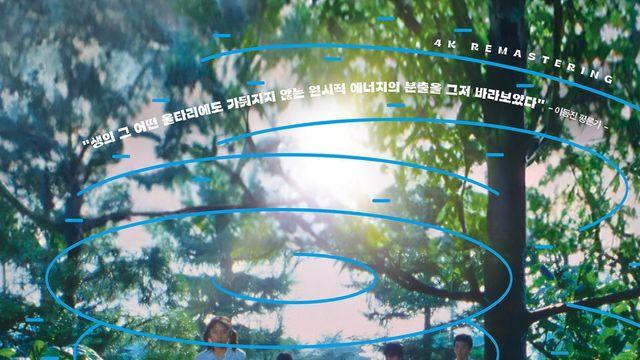 소마이 신지 감독 대표작 ‘태풍 클럽’, 40주년 기념 8월 13일 재개봉