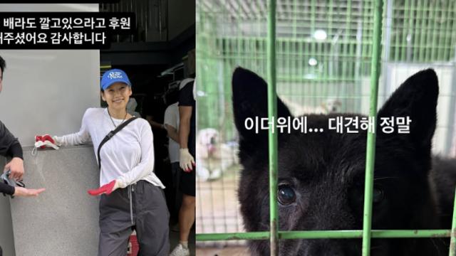 이효리, 폭염도 못 막는 선행…“대견하다 정말” 유기견 봉사활동
