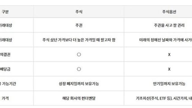 미국주식옵션은 뭔가요[금알못]