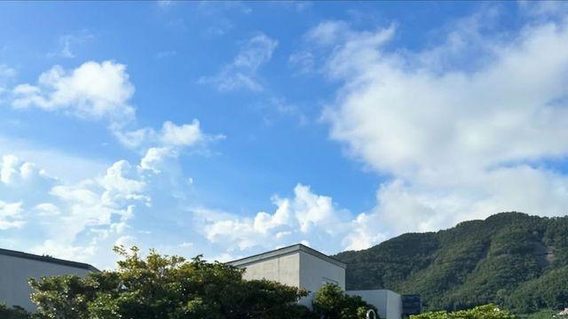 정호연, 컬러블록 원피스 수영복으로 완성한 감각적인 서머룩