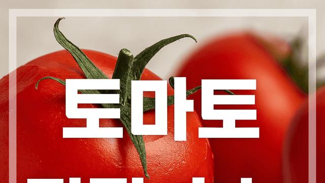 토마토 껍질 효능 항산화부터 장 건강까지 꼭 챙겨야 할 이유