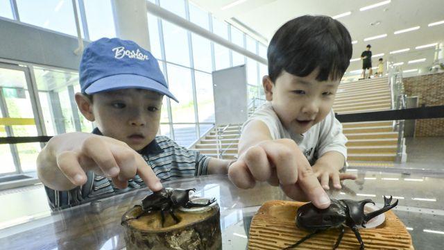 국립농업박물관, 곤충을 보다 더 가까이서 체험해봐요 [포토뉴스]