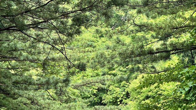 부모님과 열적응 완료