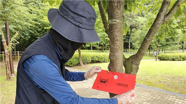 인천시설공단, 미국흰불나방 방역 총력