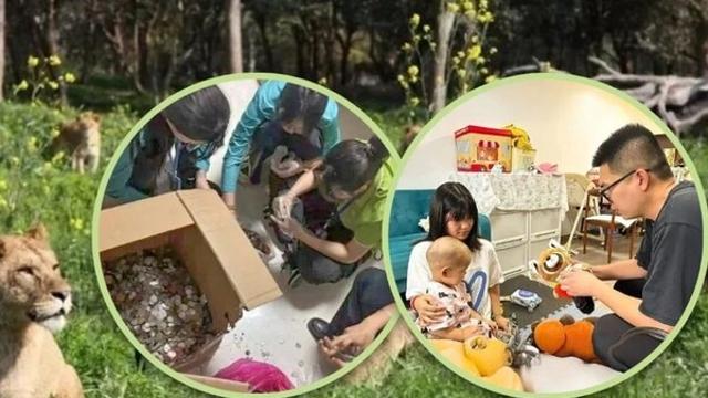 암 투병 2살 아이 위한 '동물원의 기부'…