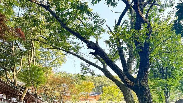 홍지윤, 도트 래시가드로 완성한 세련된 여름 계곡 패션