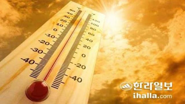 농약 작업 후 어지럼증… 제주 온열환자 2명 발생