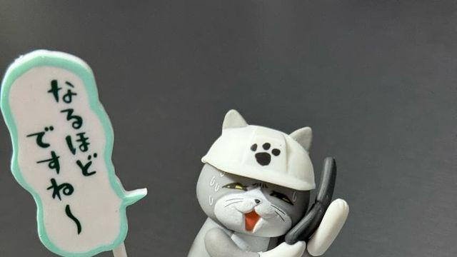 오사카 가서 사온 ㅈ소냥이ㅎㅎ