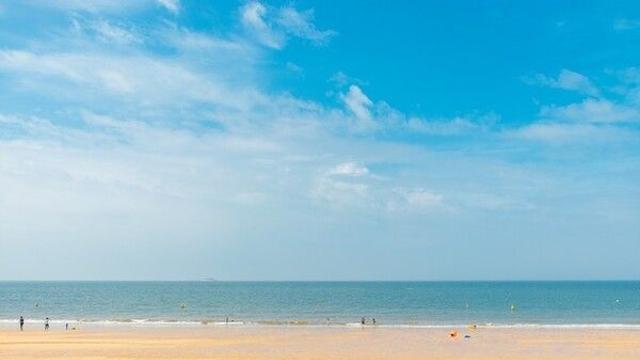 대천 가볼만한곳, 서해 바다의 낭만과 다채로운 즐거움