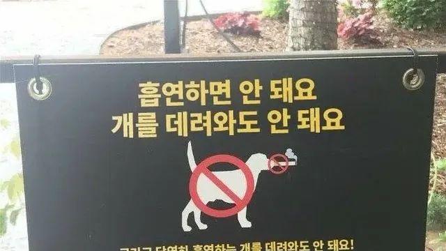 의외로 금연구역에 데려오면 안되는 것,,