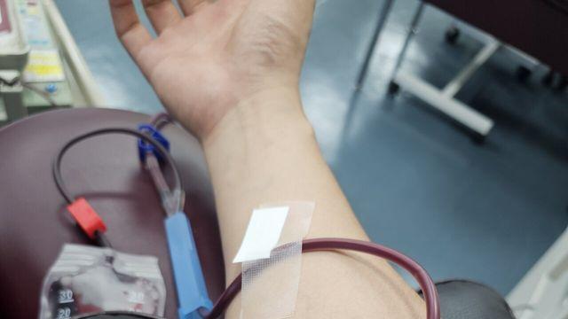 투구게 20회차 (온니 전혈)