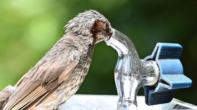 살인적인 폭염 계속…경기북부·강원 한때 소나기[내일날씨]