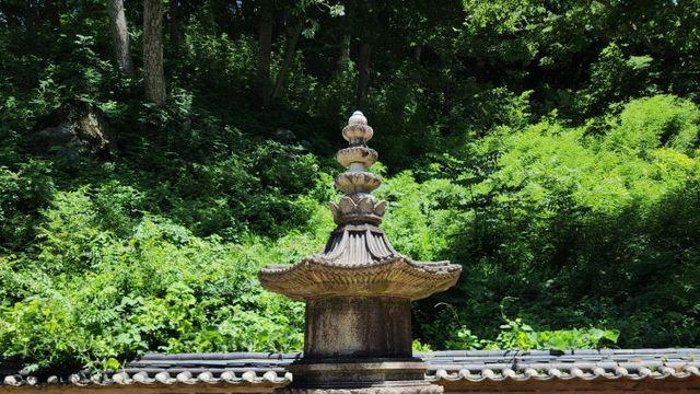 최인선 교수와 함께 곡성 태안사 국보승탑·신숭겸장군 탐방
