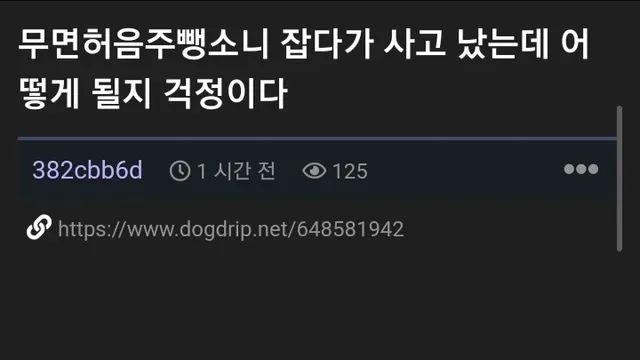 무면허 음주운전뺑소니 제압했는데 깽값물어야되는 사람