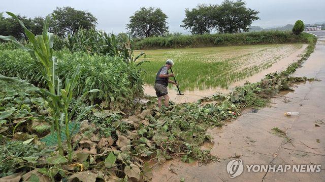 서산 호우피해 농가 농기계 임대료 면제