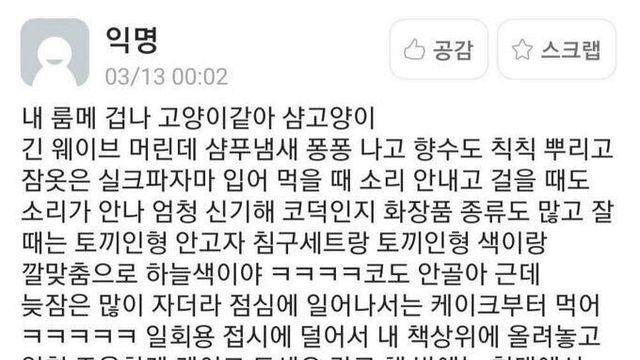 귀족고양이같은 룸메.jpg