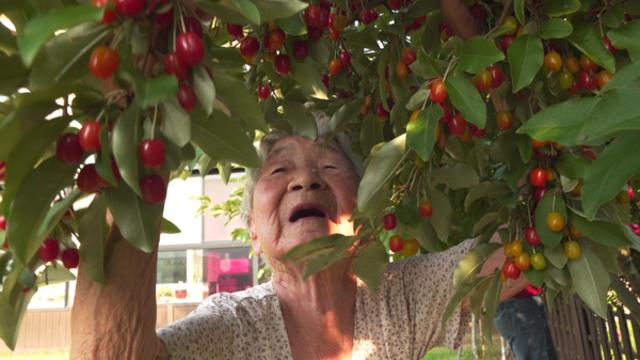 '인간극장' 아흔아홉, 조성임 할머니와 4대 가족의 단란한 일상