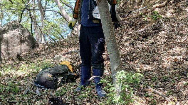 레저용 활로 '흑염소' 사냥해 잡아먹은 양궁동호회 검거