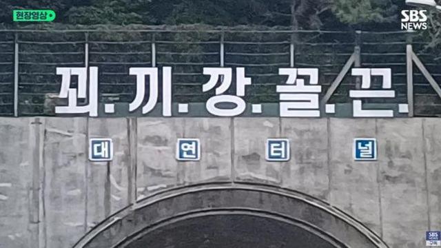 꾀끼깡꼴끈 사건
