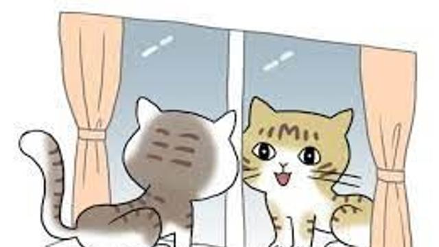 우리집 고양이가 하는 것.