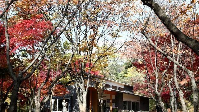 [서초 프리뷰] 무허가 갤러리 수용 두고 뒤집힌 판단…공원 조성 vs 재산권 침해