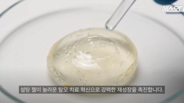 설탕을 바르면 머리가 자란다는 치료법 등장