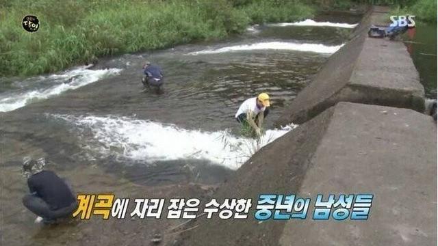계곡에 중년 남성들이 모인 이유.