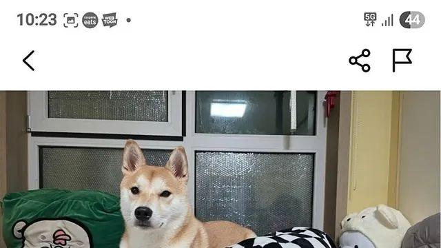 당근에 올라온 45분에 10,000원짜리 알바