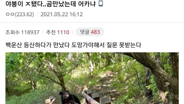 진짜 ㅈ된 와중에도 할건 해야하는 야붕이 ㅋㅋㅋㅋ