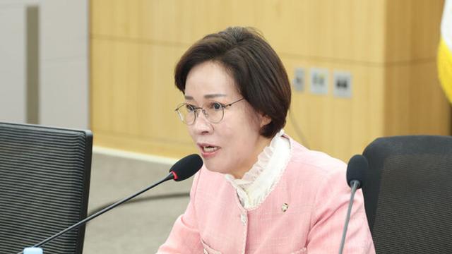 이인선, 공천 개입 의혹에 